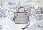 Barnes - Luxury Handbags Christian Dior 231 Cheap