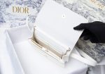 Barnes - Luxury Handbags Christian Dior 133 Online Hot Sale