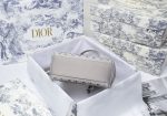 Barnes - Luxury Handbags Christian Dior 231 Cheap