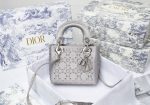 Barnes - Luxury Handbags Christian Dior 231 Cheap