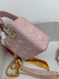 Barnes - Luxury Handbags Christian Dior 262 Supply